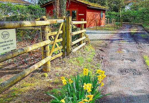 Our Country Park